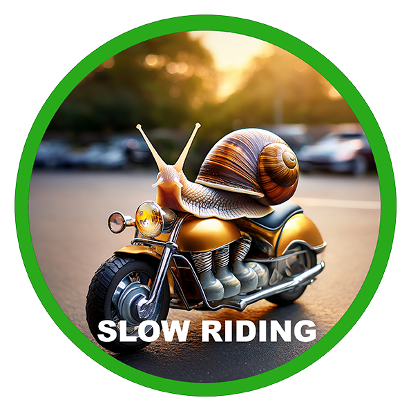 Slow Manoeuvring